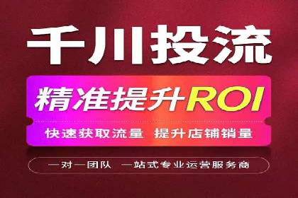 SEM广告投放的技巧与策略——成功案例分享